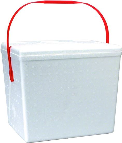Picture of Lifoam 3622 Ice Chest 22Qt w/Handle