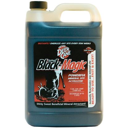 Picture of Evolved Black Magic Liquid