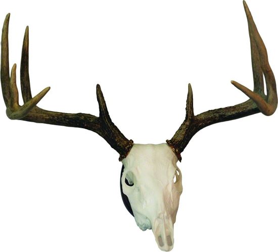 Picture of Hunters Specialties 01638 European Skull Deer Mounting Kit