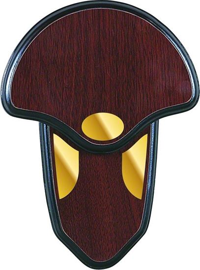 Picture of Allen 566 Turkey Tail Mounting Kit, Hardwood Plaque