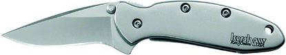Picture of Kershaw 1600 Chive Assisted Opening Folding Knife, 1.9" Blade, Stainless