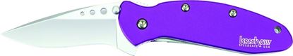 Picture of Kershaw 1620PUR Scallion Assisted Opening Folding Knife, 2.4" Partially Serrated Blade, Jewell Tone Purple