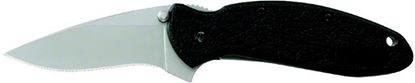 Picture of Kershaw 1620 Scallion Assisted Opening Folding Knife, 2.4" Partially Serrated Blade