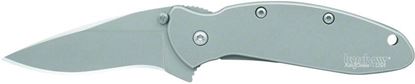 Picture of Kershaw 1620FL Scallion Assisted Opening Folding Knife, 2.4" Partially Serrated Blade, Stainless Steel