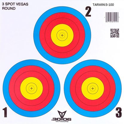 Picture of 30-06 Mini Paper Target