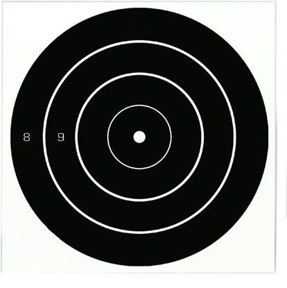 Picture of Birchwood Casey 35825 Dirty Bird Bullseye 8" 25 Targets 25/Pk
