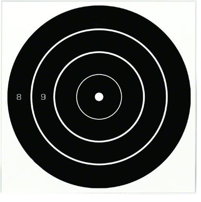 Picture of Birchwood Casey 35012 Dirty Bird Bullseye 12" 12 Targets 12/Pk