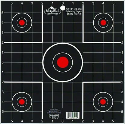 Picture of Birchwood Casey 35212 Dirty Bird Sight In 12" 12 Targets 12/Pk