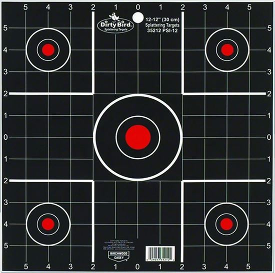 Picture of Birchwood Casey 35212 Dirty Bird Sight In 12" 12 Targets 12/Pk