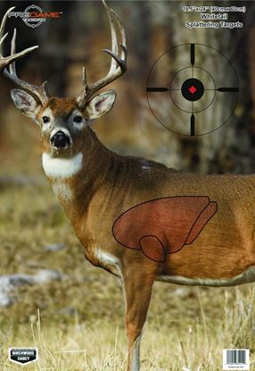 Picture of Birchwood Casey 35401 PreGame Deer 16.5x24 Target 3/Pk