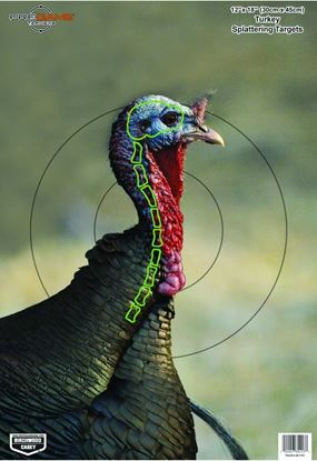 Picture of Birchwood Casey 35403 PreGame Turkey 12x18 Target 8/Pk