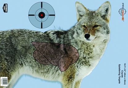 Picture of Birchwood Casey 35405 PreGame Coyote 16.5x24 Target 3/Pk