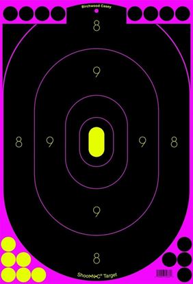 Picture of Birchwood Casey 34635 Shoot-N-C Pink 12x18 Silhouette Target 5/PK