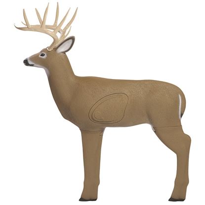 Picture of Block Shooter Crossbow Buck Target