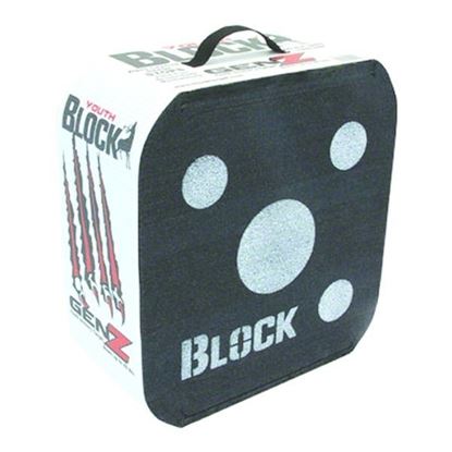 Picture of Block 51000 GenZ Youth Target Open Layer Foam Four Sided Shooting