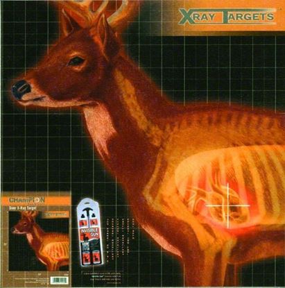 Picture of Champion 45902 X-Ray Deer Target, 25"x25", 6Pk