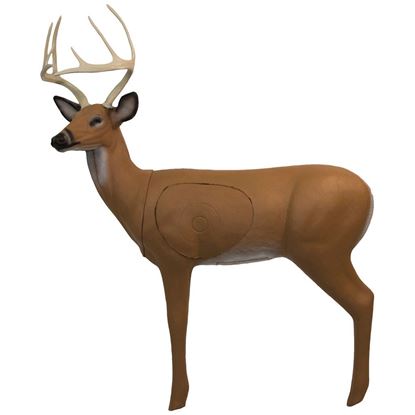 Picture of Real Wild Alert Deer Target