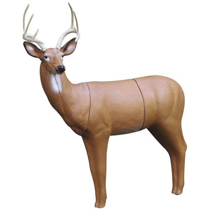 Picture of Real Wild Big Buck Deer Target