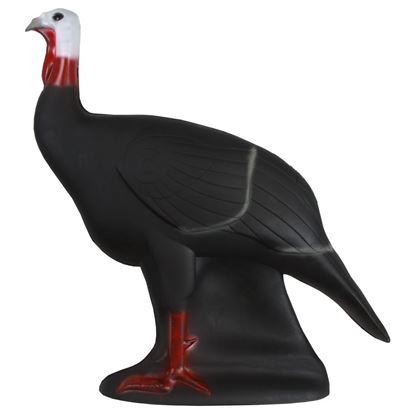 Picture of Shooter Turkey Target