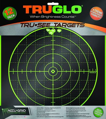 Picture of TRUGLO TG10A12 Tru-See Target 100Yd 12x12 12Pk