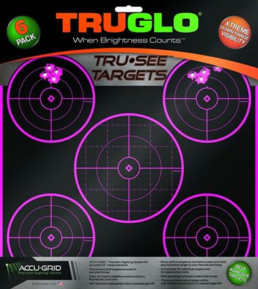 Picture of TRUGLO TG11P6 Tru-See Target 5-Bull 12x12 6Pk - Pink