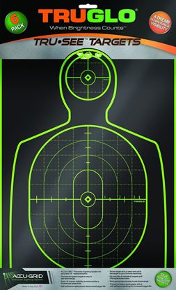 Picture of TRUGLO TG13A6 Tru-See Target Handgun 12x18 6Pk