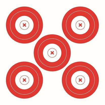 Picture of Walk On Paper Target 