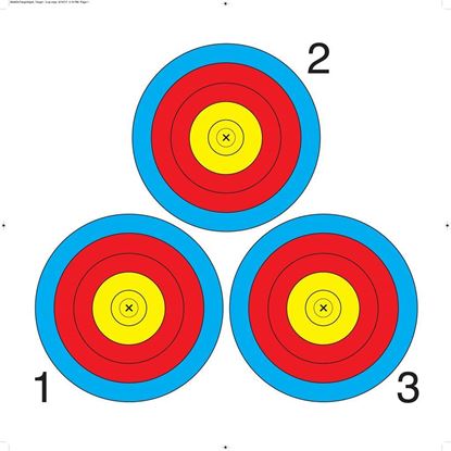 Picture of Walk On Paper Target