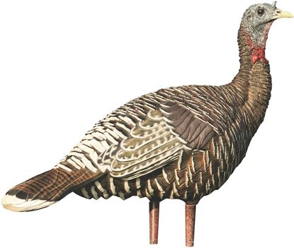 Picture of Avian-X AVX8009 8009 Jake & Lookout Hen Merriam's Turkey Decoys