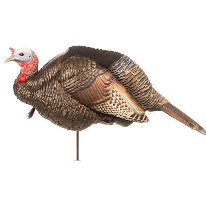 Picture of Dave Smith Decoy 3/4 Strut Jake