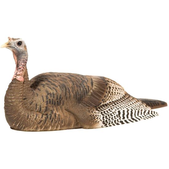 Picture of Dave Smith Decoy Mating Hen