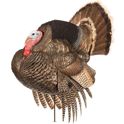 Picture of Dave Smith Decoy Strutter