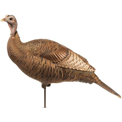 Picture of Dave Smith Decoy Upright Hen