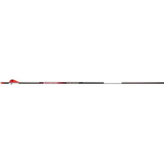 Picture of BloodSport Punisher Arrows