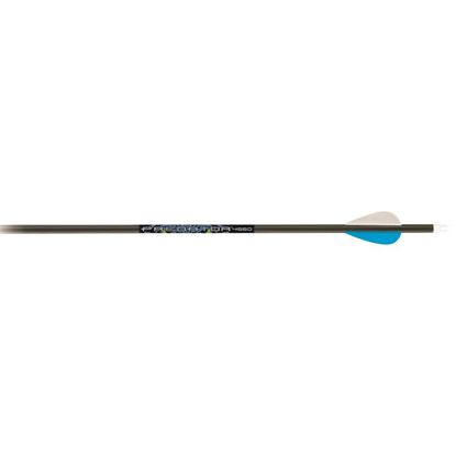 Picture of Carbon Express Predator Arrows