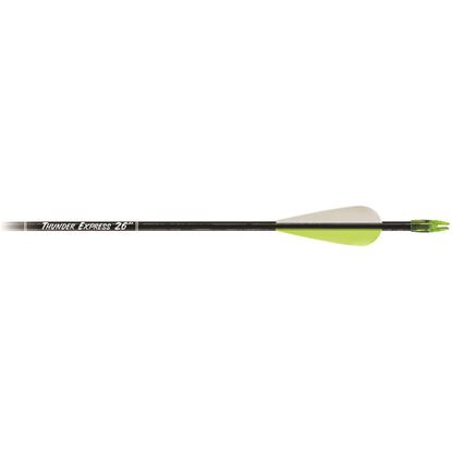 Picture of Carbon Express Thunder Express Arrows