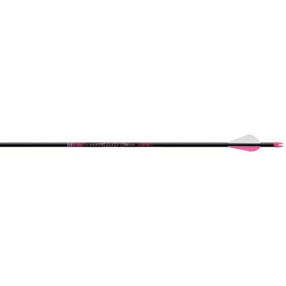 Picture of Easton Carbon Ion Arrows