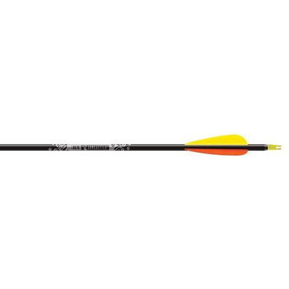 Picture of Easton Gamegetter XX75 Arrows