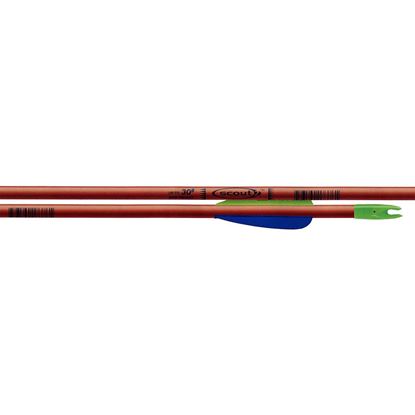 Picture of Easton Scout II Arrows