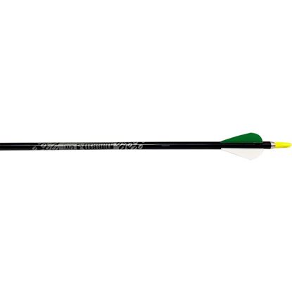 Picture of Easton Gamegetter Arrows