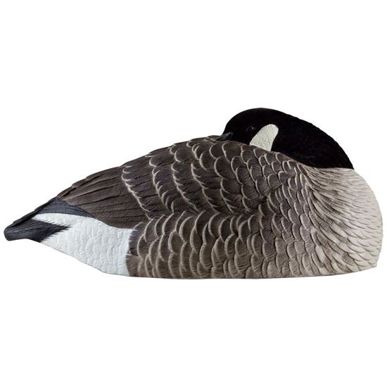 Picture of Avian X Canada Sleeper Shells