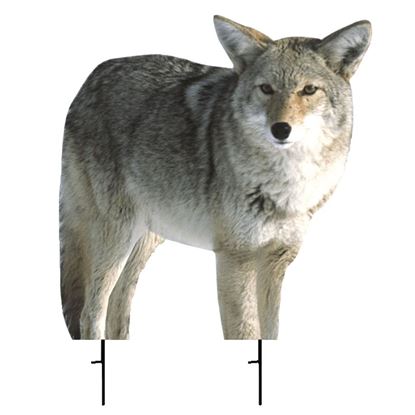 Picture of Montana Decoy Kojo Coyote