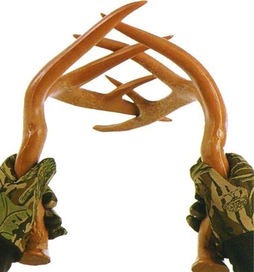 Picture of Primos 00710 Fighting Horns Deer Rattling System High-Tech Polymer 14Contact Points Extended Handle