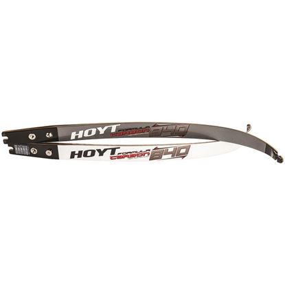 Picture of Hoyt Formula 840 Limbs
