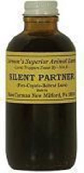 Picture of Silent Partner