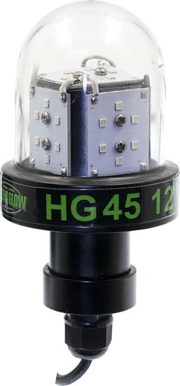 Picture of Hydro Glow HG45 45w, 12v Deep Water LED Fishing Light, Globe style, Green, 20' cord, 5400 lumen