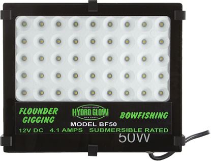 Picture of Hydro Glow BF50 50w LED, 12v LED Floodlight, Daylight or Warm White, submersilble, 10' cord