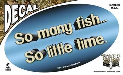 Picture of Bones D1316 Oval Decal, So Many Fish-So Little Time