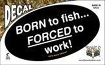Picture of Bones D1325 0val Decal, Born To Fish...Forced To Work