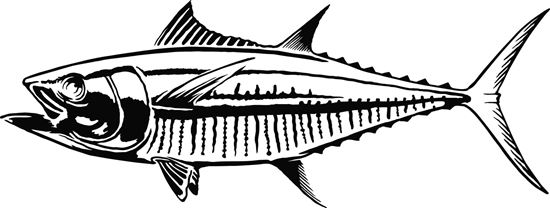 Picture of Calcutta LVET006 Die Cut Decal Tuna 7"